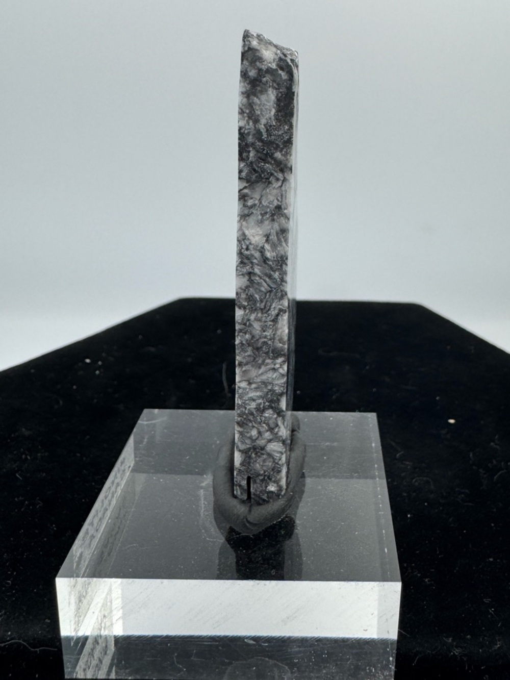 Polished Pinolite (Canada) - Picture 3 of 4